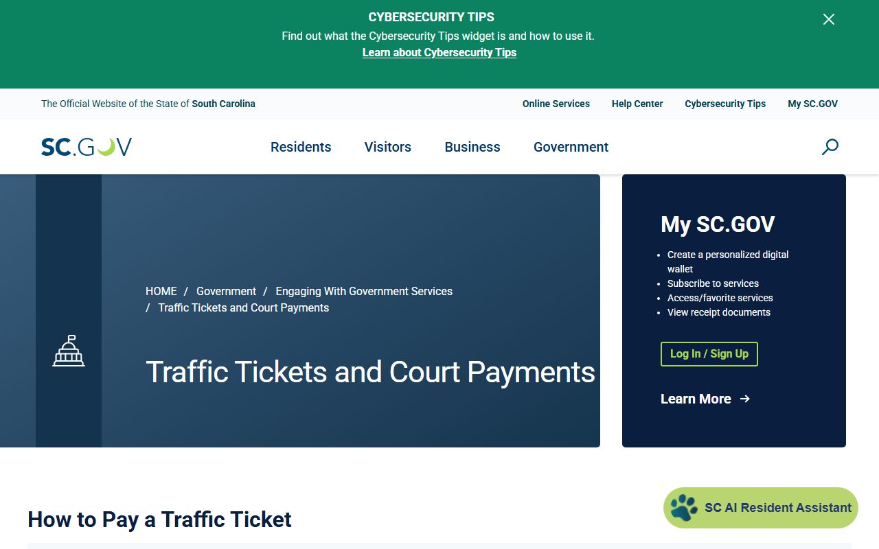 Horry County traffic court records payment instructions